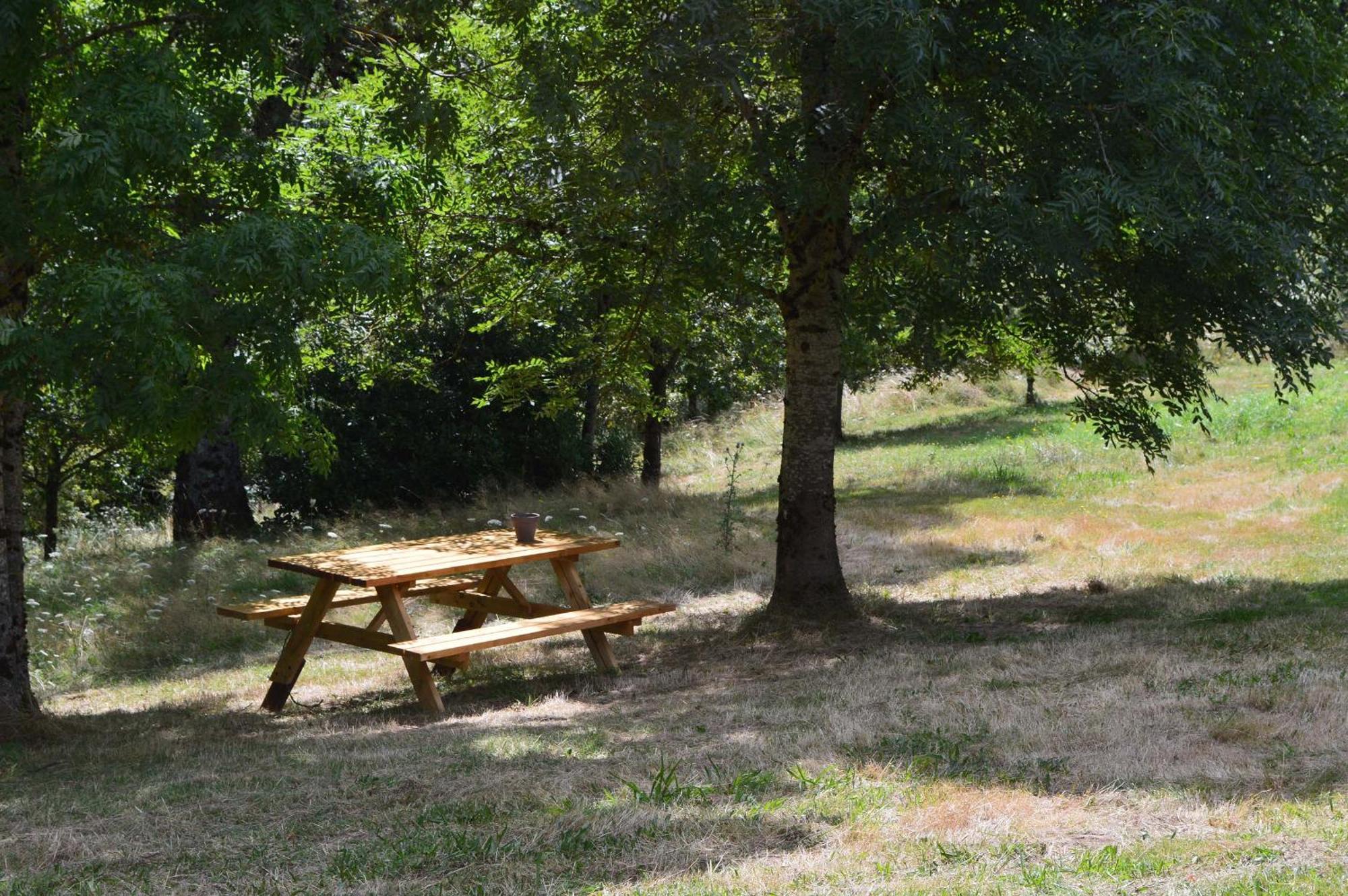 Domaine Des Terres Du Milieu / Gite De Cul De Sac Chateldon Exterior photo